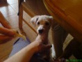 /album/fotogaleria-inicio/dsc00080-jpg/